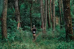 BIB: 
                            <button type="button" onclick="openModal(25236128)" class="btn btn-primary btn-sm float-right btn-popup" data-toggle="modal" data-target=".modal-high-quality">
                        <i class="fas fa-shopping-cart"></i> Add to Cart
                    </button>
                                            <button type="button" onclick="isThisMe(25236128, true)" class="btn btn-success btn-sm float-right btn-popup btn-isme hidden" data-toggle="tooltip" data-placement="bottom" title="นี่คือรูปของคุณใช่ไหม คลิกที่นี่เพื่อเอาเข้าอัลบั้ม">
                        <i class="fas fa-plus"></i> Add to album
                    </button>
                    <button type="button" onclick="isThisMe(25236128, false)" class="btn btn-warning btn-sm float-right btn-popup btn-isnotme hidden">
                        <i class="fas fa-ban"></i> Remove from album
                    </button>